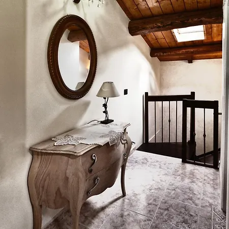 Myosotis Bed & Breakfast