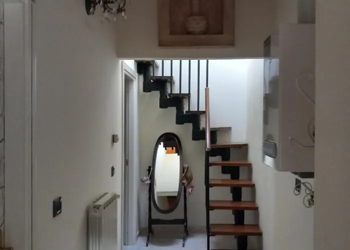 Myosotis Bed & Breakfast